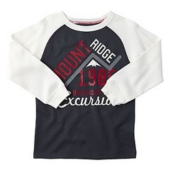 click for enlarge 350 X 350 15,6 Kb picture