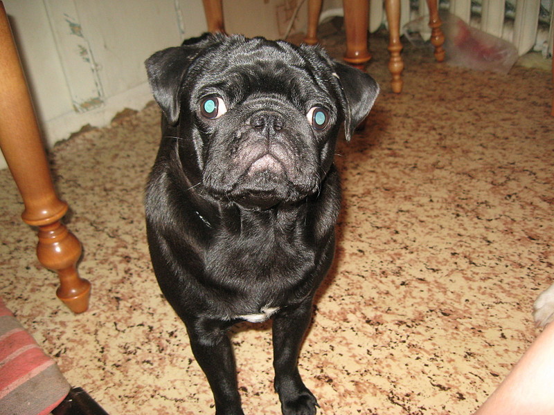 click for enlarge 1920 X 1440 672,5 Kb picture