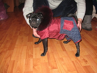 click for enlarge 1920 X 1440 652,9 Kb picture