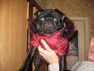 click for enlarge 1920 X 1440 686,5 Kb picture