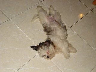 click for enlarge 604 X 453  33,1 Kb picture