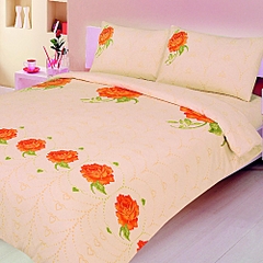 click for enlarge 500 X 500 160,9 Kb picture