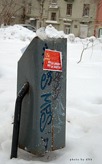 click for enlarge 497 X 800 198,1 Kb picture