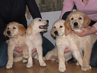 click for enlarge 640 X 480 139,5 Kb picture