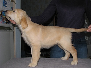 click for enlarge 640 X 480 112,0 Kb picture