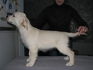 click for enlarge 640 X 480 98,3 Kb picture