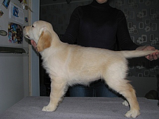 click for enlarge 640 X 480 103,6 Kb picture