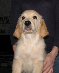 click for enlarge 671 X 839 177,5 Kb picture