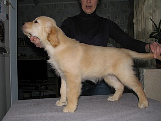 click for enlarge 640 X 480 113,5 Kb picture