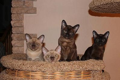 click for enlarge 1282 X 855 164,3 Kb picture
