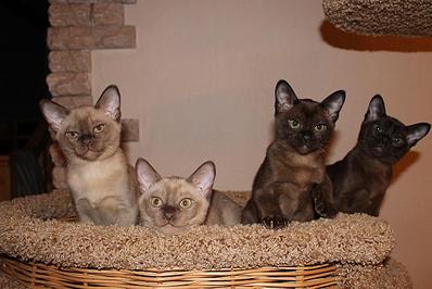 click for enlarge 1282 X 855 158,3 Kb picture