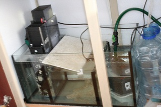 click for enlarge 719 X 480 117,8 Kb picture