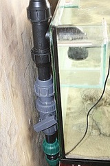 click for enlarge 192 X 288  48,5 Kb picture