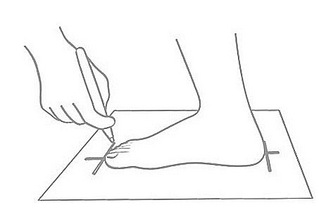 click for enlarge 453 X 318 13,9 Kb picture