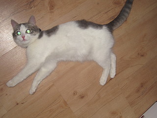 click for enlarge 1920 X 1440 392,9 Kb picture