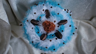 click for enlarge 1024 X 575 216,1 Kb picture