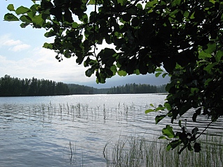 click for enlarge 640 X 480 182,1 Kb picture