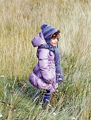 click for enlarge 220 X 288 30,4 Kb picture