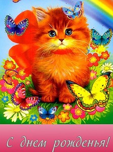 click for enlarge 338 X 454 54,4 Kb picture