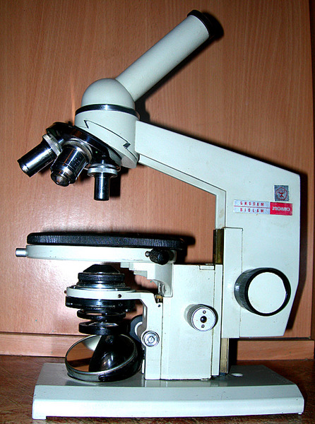 click for enlarge 1024 X 1377 314,3 Kb picture