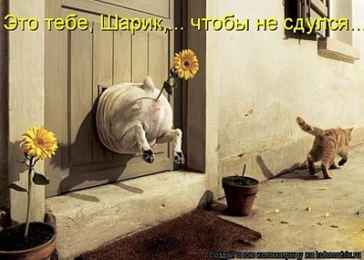 click for enlarge 480 X 343 47,3 Kb picture
