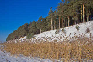 click for enlarge 1920 X 1279 496,1 Kb picture