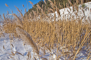 click for enlarge 1920 X 1280 825,6 Kb picture