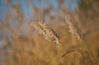 click for enlarge 1920 X 1280 290,8 Kb picture