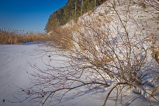 click for enlarge 1920 X 1280 507,2 Kb picture