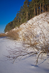 click for enlarge 1920 X 2880 972,6 Kb picture