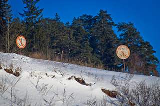 click for enlarge 1920 X 1279 420,2 Kb picture