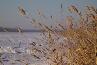 click for enlarge 1920 X 1280 493,8 Kb picture