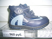 click for enlarge 1920 X 1440 245,8 Kb picture