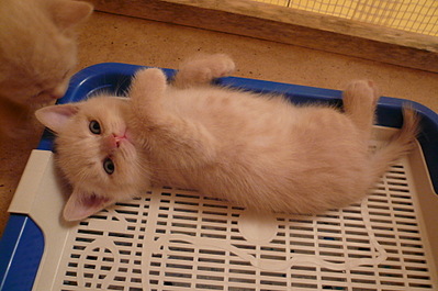 click for enlarge 1920 X 1275 557,9 Kb picture