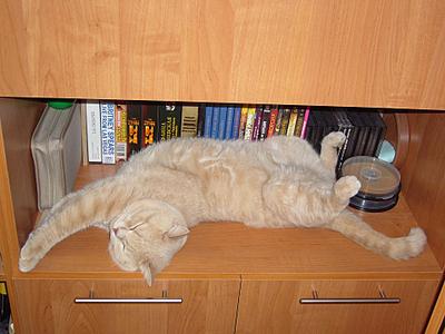 click for enlarge 1920 X 1440 282,7 Kb picture