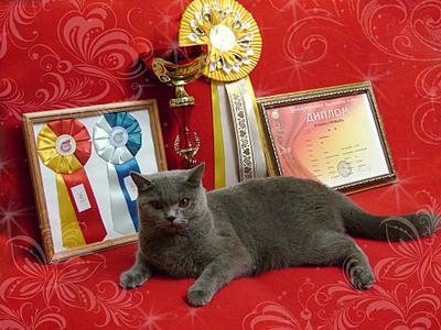 click for enlarge 1920 X 1440 356,7 Kb picture