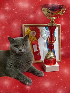 click for enlarge 1920 X 2560 483,5 Kb picture