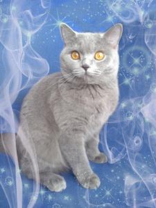 click for enlarge 1536 X 2048 334,1 Kb picture