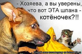 click for enlarge 544 X 360  40,1 Kb picture