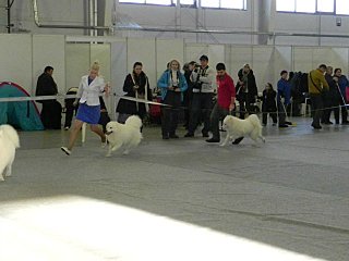 click for enlarge 640 X 480  43,5 Kb picture