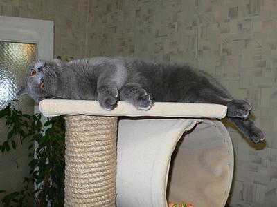 click for enlarge 1920 X 1440 280,0 Kb picture