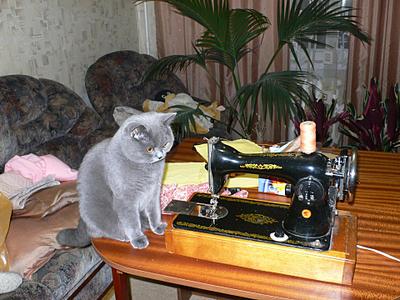 click for enlarge 1920 X 1440 381,2 Kb picture