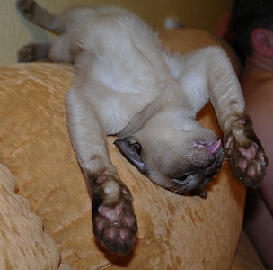 click for enlarge 608 X 600 175,9 Kb picture