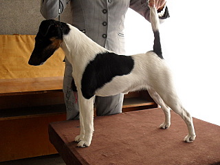 click for enlarge 640 X 480 106,0 Kb picture