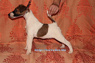 click for enlarge 750 X 500 128,8 Kb picture