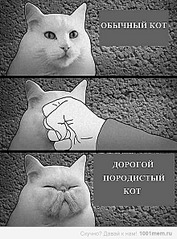 click for enlarge 440 X 594  92,1 Kb picture