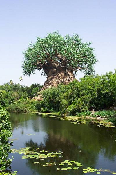 click for enlarge 716 X 1074 118,5 Kb picture