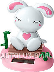 click for enlarge 268 X 360 17,1 Kb picture