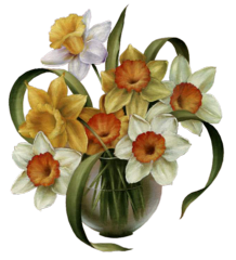 click for enlarge 600 X 660 1,2 Mb picture