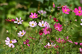 click for enlarge 1920 X 1280 839,9 Kb picture